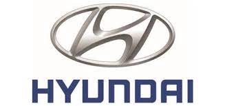 Hyundai Profesyonel Para Sayma Makinesi